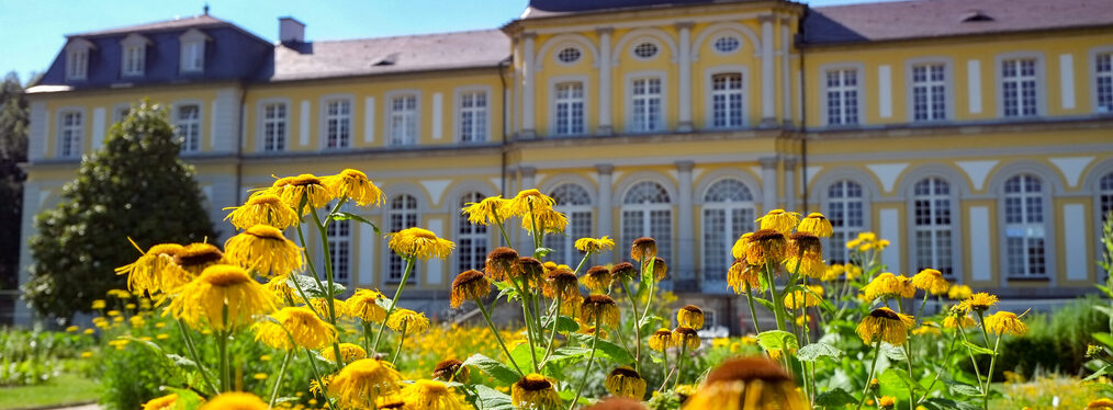 Gelbe Blumen vor dem Poppelsdorfer Schloss