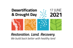 Logo desertification and drought day 2021