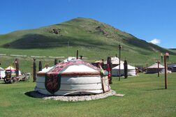 Jurten auf einer Wiese in der Mongolei