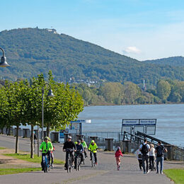 People walking on the banks of the Rhine