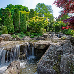 Japanischer Garten Wasserfall