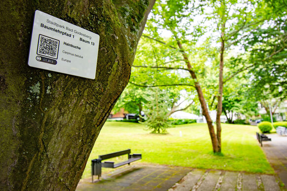 Each tree on the nature trail has a sign with a QR code