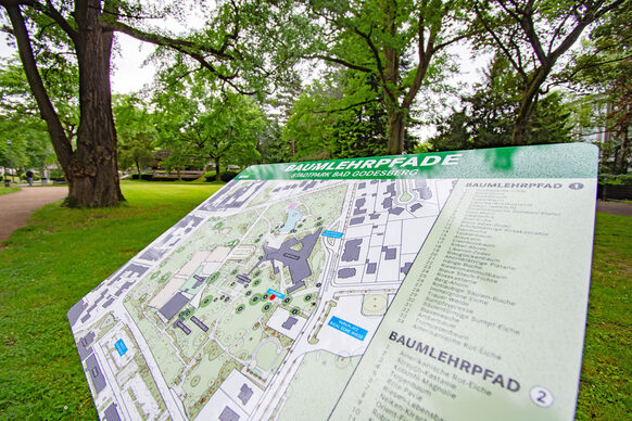 Map of the new tree trails in the city park Bad Godesberg