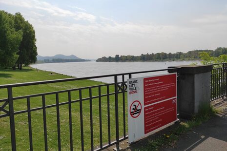 Warnschilder am Rhein weisen in Deutsch und Englisch auf die Gefahren von Baden im Rhein hin