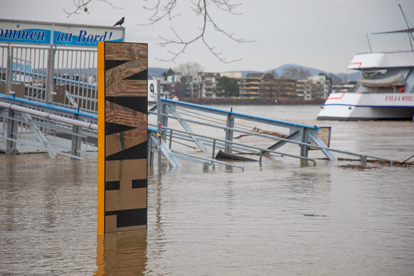 Das Rheinhochwasser überspült die BTHVN-Stele