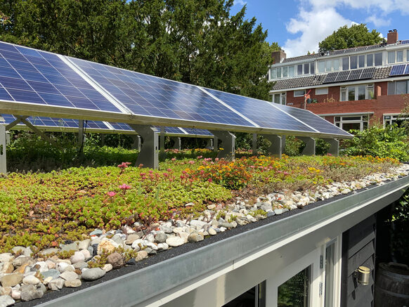 Ein mit Sedum bewachsenes Flachdach mit Panelen für Photovoltaik