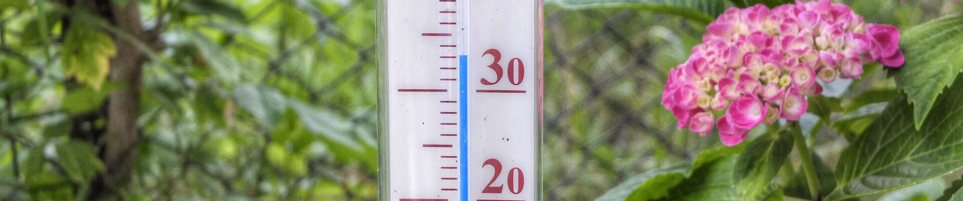 Ein Thermometer im Garten zeigt deutlich mehr als 30 Grad Celsius an