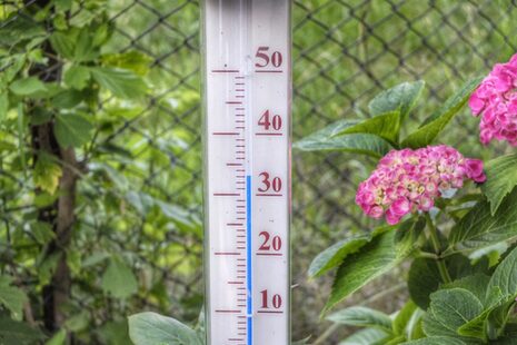 Ein Thermometer im Garten zeigt deutlich mehr als 30 Grad Celsius an