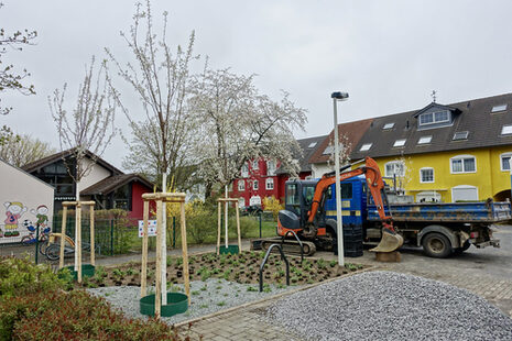 Alberi appena piantati in un complesso residenziale.