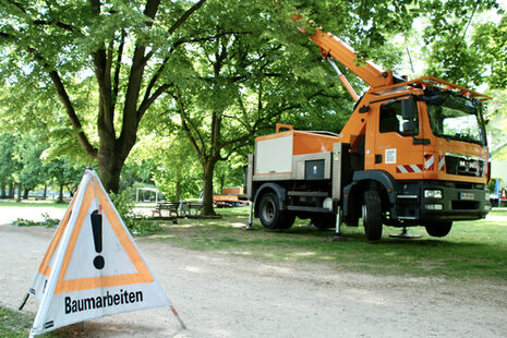 Lavori di cura degli alberi con una piattaforma di lavoro aerea su autocarro