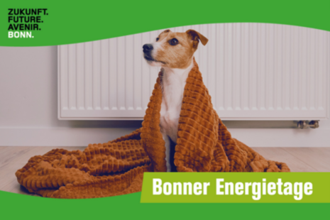 Jornadas de la Energía de Bonn